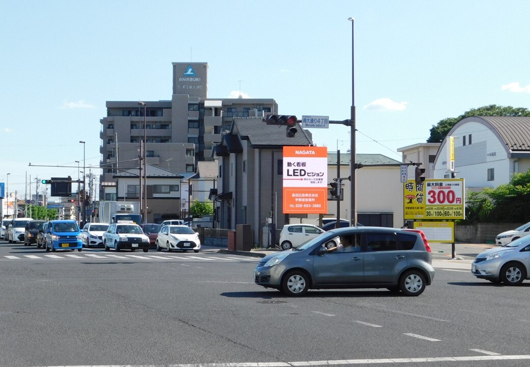 utsunomiya_nangodori_led