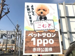 ペットサロン１ppo