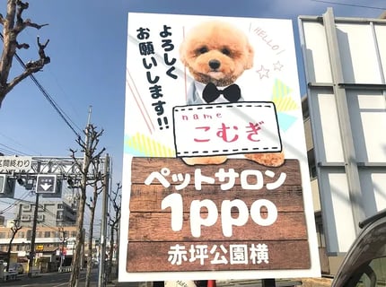 ペットサロン１ppo