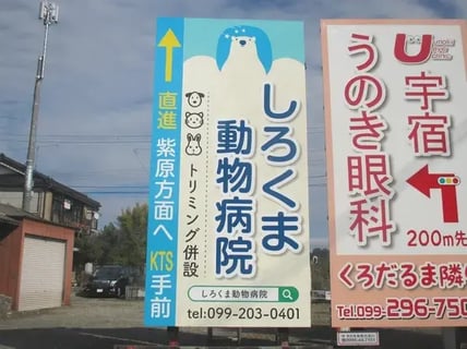 しろくま動物病院