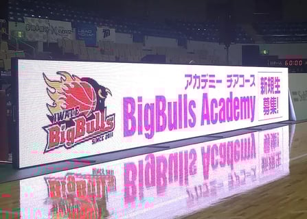 岩手ビッグブルズ（Bリーグチーム）