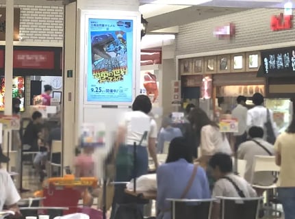 公益財団法人しまね自然/環境財団