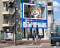 LED Community Vision in Nakano Ward, Tokyo : A 3D owl popping up!