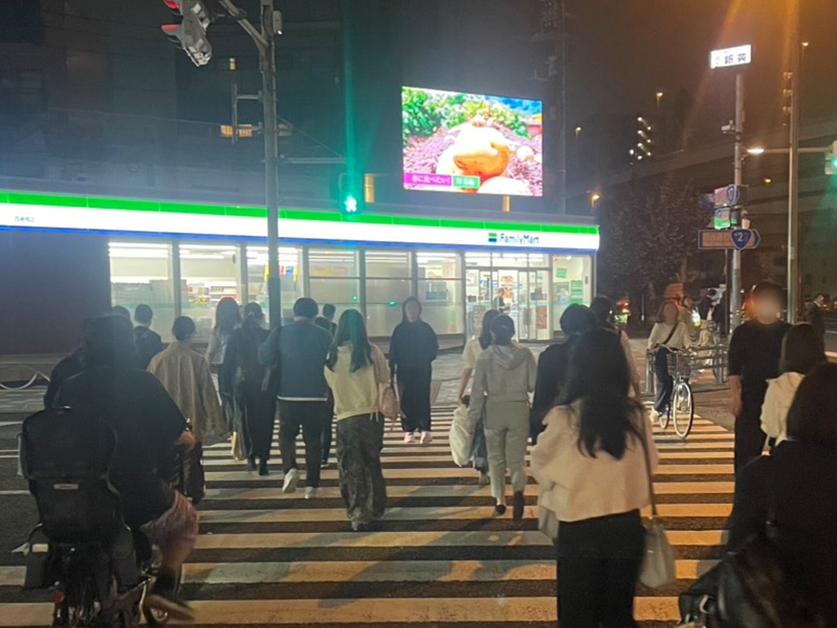 meijistreet-nishisugamo_led2