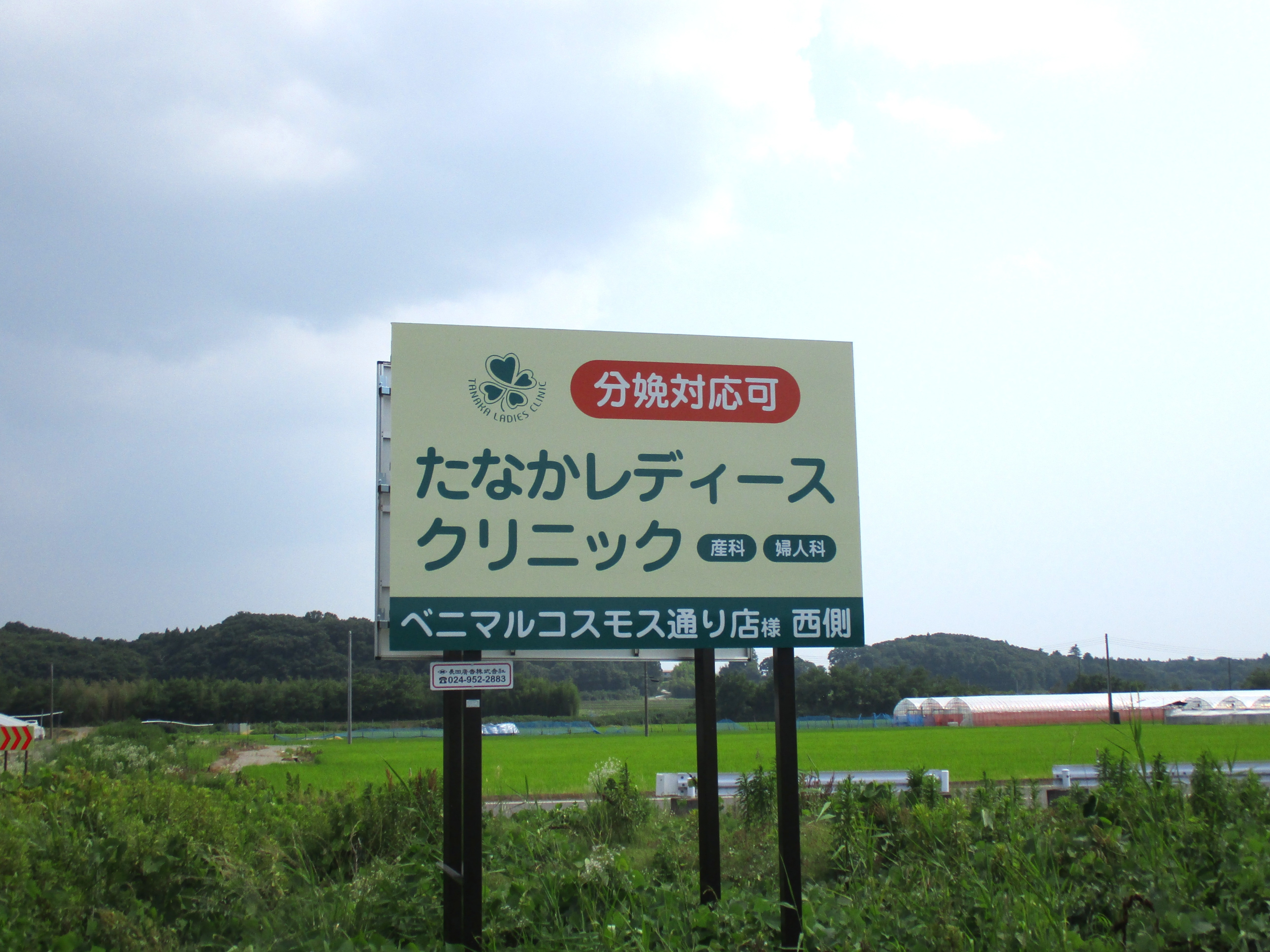 tanakaladies1_rs